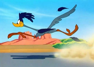 Roadrunner Goes Meep Meep!