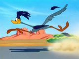 Road-Runner