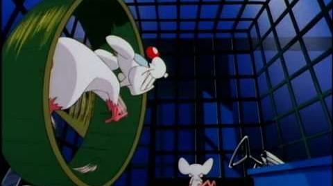 Pinky And The Brain, Cartoon Hall Of Fame Wiki