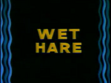 Wet Hare