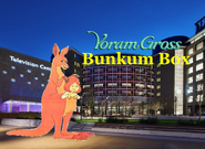 Yoram Gross Bunkum Box Title Card