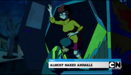 Next Almost Naked Animals (Open Matte)