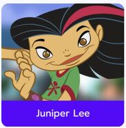 JuniperLeeBoomerangIcon