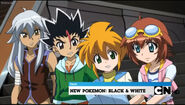 Next New Pokémon: Black and White (V2) (Open Matte)