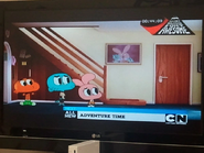 Next All New Adventure Time (Widescreen)
