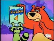 Nacho Bear