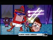 Next Almost Naked Animals (Widescreen)