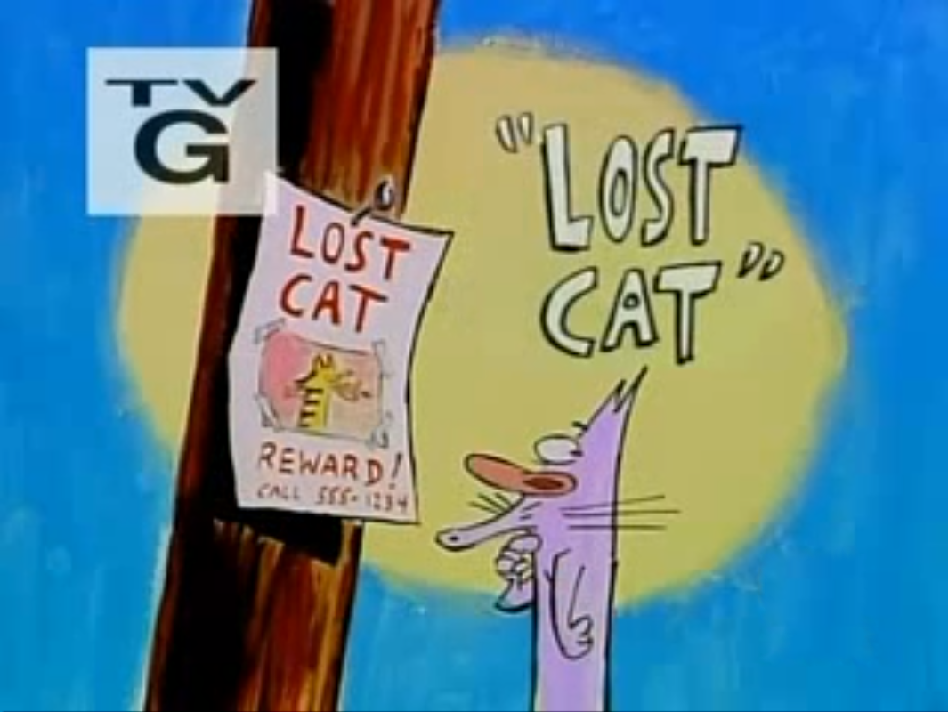 lost-cat-the-cartoon-network-wiki-fandom