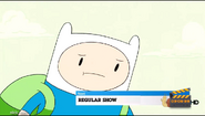 Next Regular Show (Open Matte)