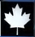 A maple leaf