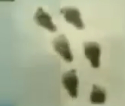 A pair of footsteps