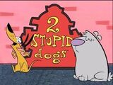 2 Stupid Dogs