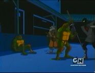 Teenage Mutant Ninja Turtles