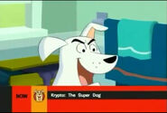 Now - Krypto The Super Dog