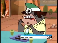 Next Tom and Jerry (Fullscreen)