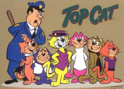 top cat with cat