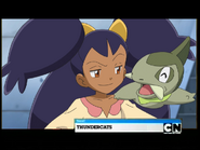 Next ThunderCats (Widescreen)