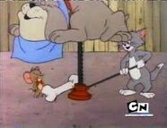 The Tom & Jerry Show