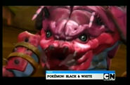 Next Pokémon Black and White (Widescreen)