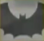 A bat