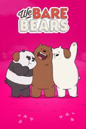We Bare Bears HBO Max cover
