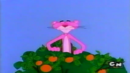 The New Pink Panther Show