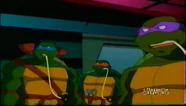 Teenage Mutant Ninja Turtles