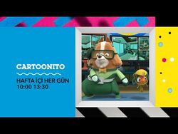 cartoon network turkiye fandom
