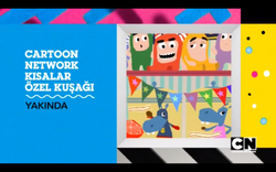 cartoon network kisalar ozel kusagi