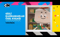 gizli kahramanlar ozel kusagi cartoon