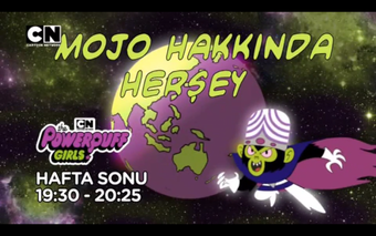 Cartoon Network Tarafindan Yayinlanan Kusaklar Maratonlar Cartoon Network Turkiye Fandom