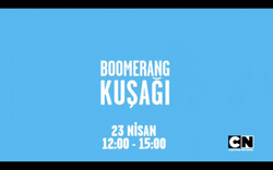 boomerang kusagi cartoon network