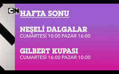 cartoon network te yayinlanan filmler