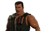 Combat Carl