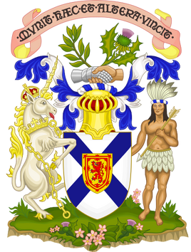 NS