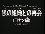 Reunion with the Black Organization ~ Conan