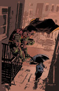 Robin #138