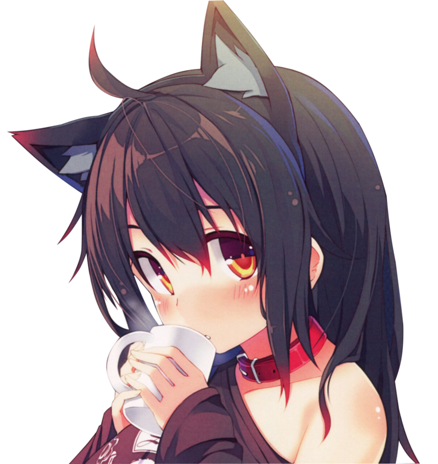 Nekos (SH) | Caster's Network Wiki | Fandom Nekos (SH) | Caster's Network Wiki | Fandom