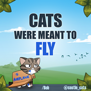Cats were meant to fly(Bob)