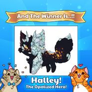 Halley | Castle Cats Wiki | Fandom