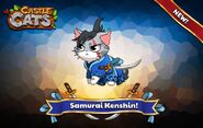 Kenshin Official Image