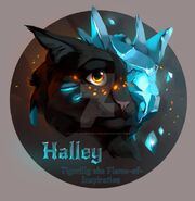 Halley | Castle Cats Wiki | Fandom
