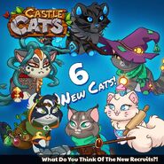 Six New Cats 2017