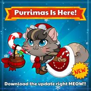 Mrs Paws Official Image