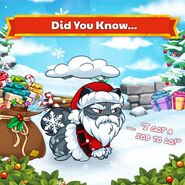 Santa Paws DYN Official Image