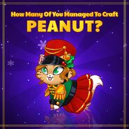 Peanut Official Image