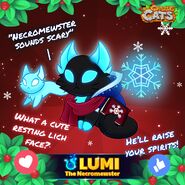 Lumi Official Image