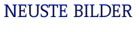 Castle NewHeader Neuste Bilder.png