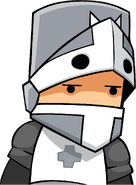 Open Faced Gray Knight; a reskin of Stove Face, except Open Faced Gray Knight uses a different looking Magic Projectile and Air Projectile.