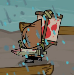 Castlecrashers.wikia.com ▷ Observe Castle Crashers Wiki A News